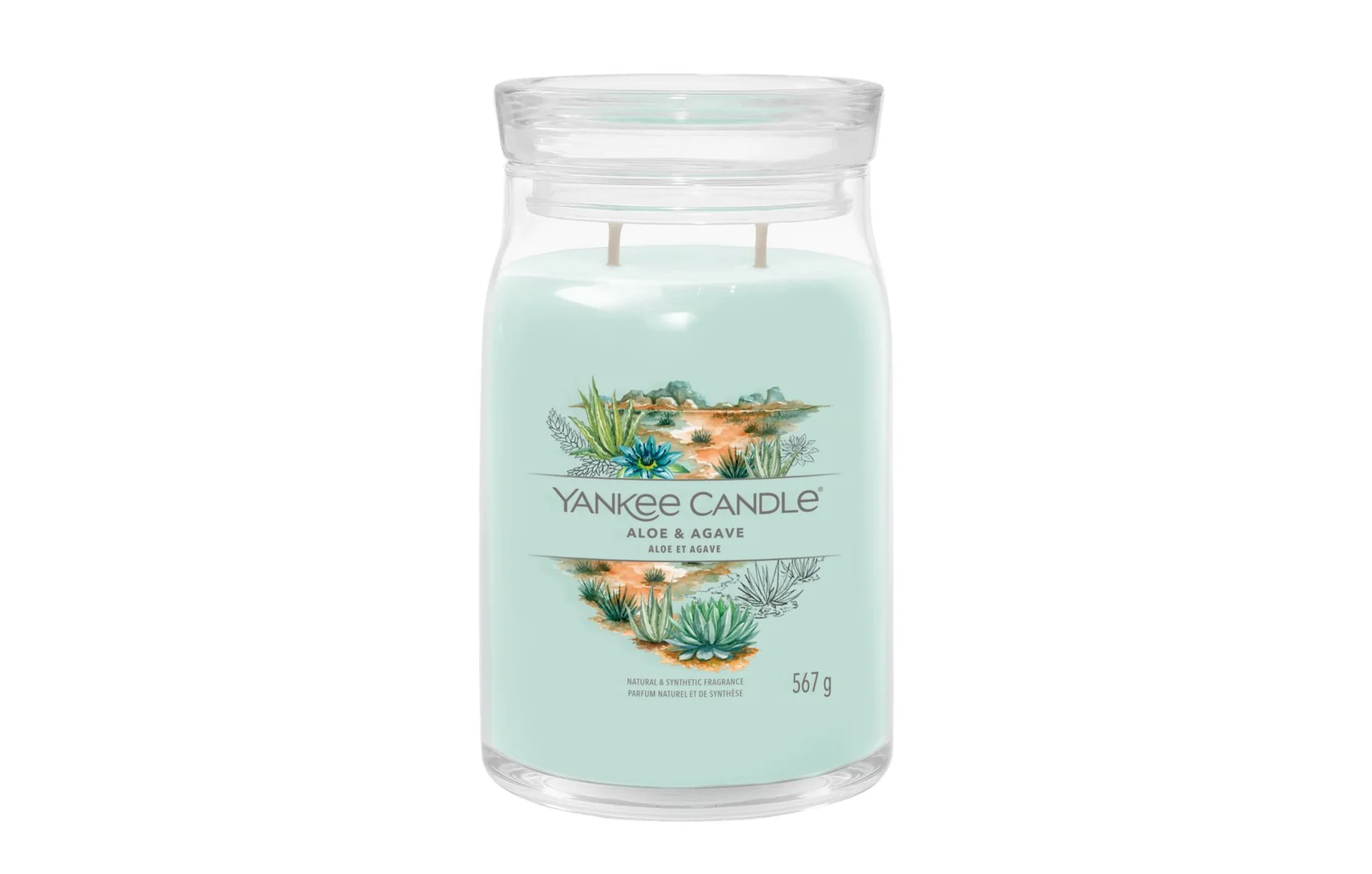 Aloe et agave - Grande Jarre