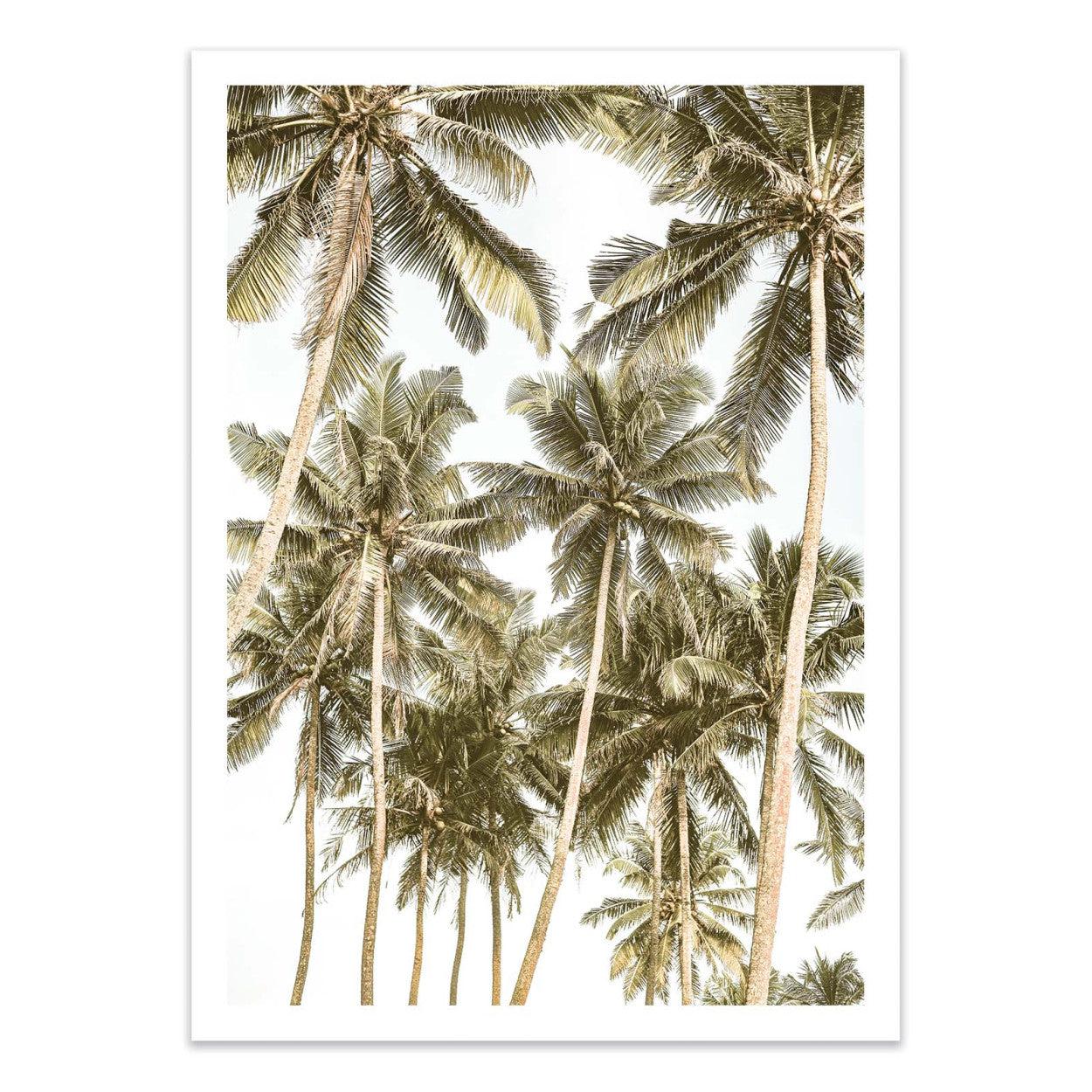Art-Poster - Island Bliss - Shot by Clint