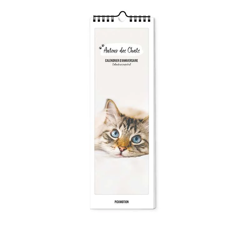 Autour des Chats