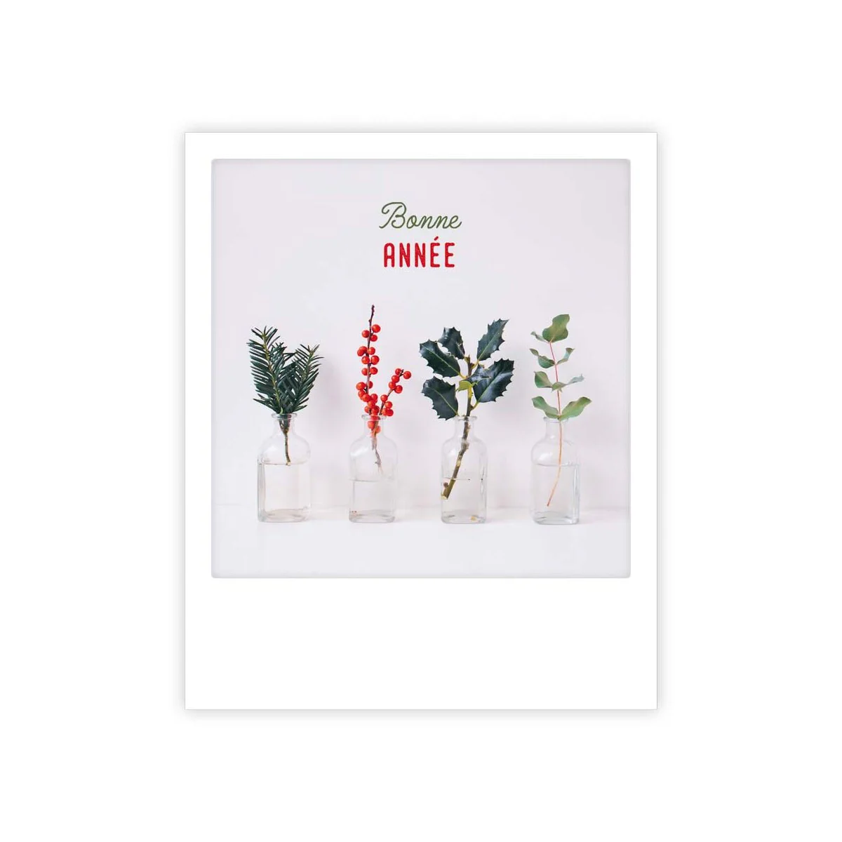 bonne année plante