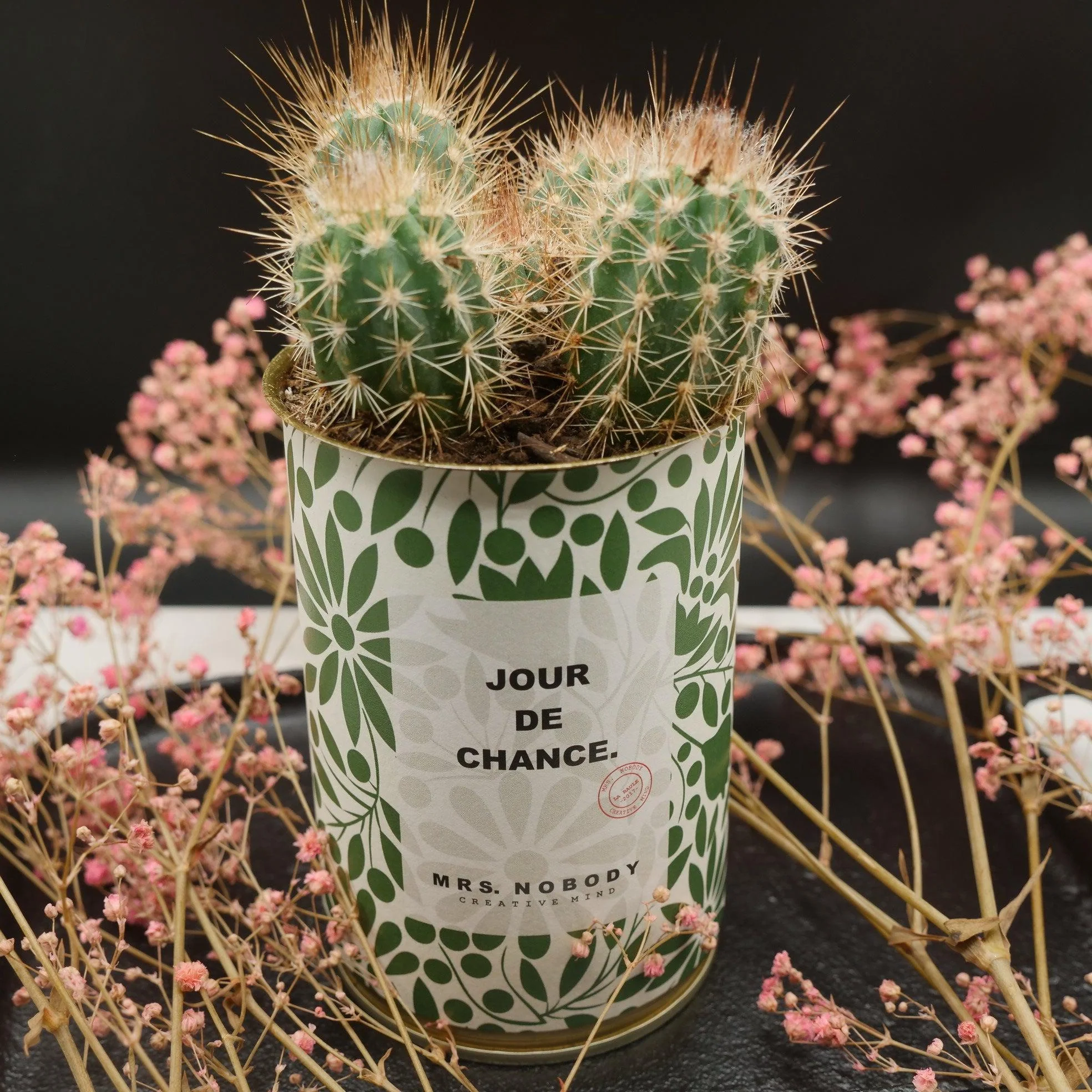 Cactus à message 🌵❤️
