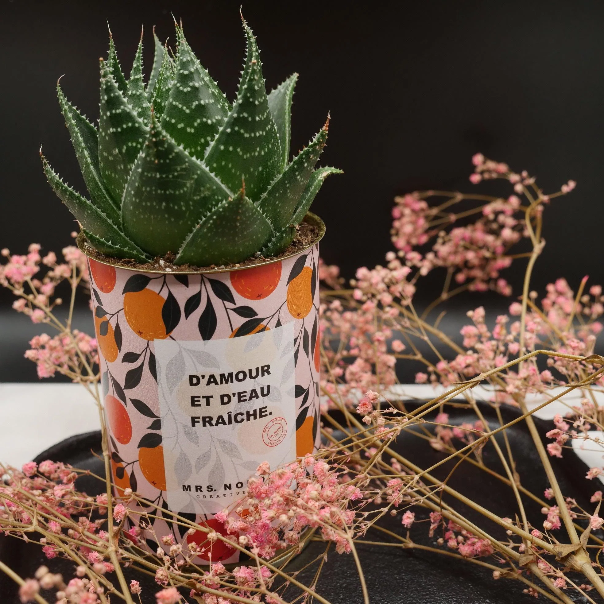 Cactus à message 🌵❤️ - Image 10