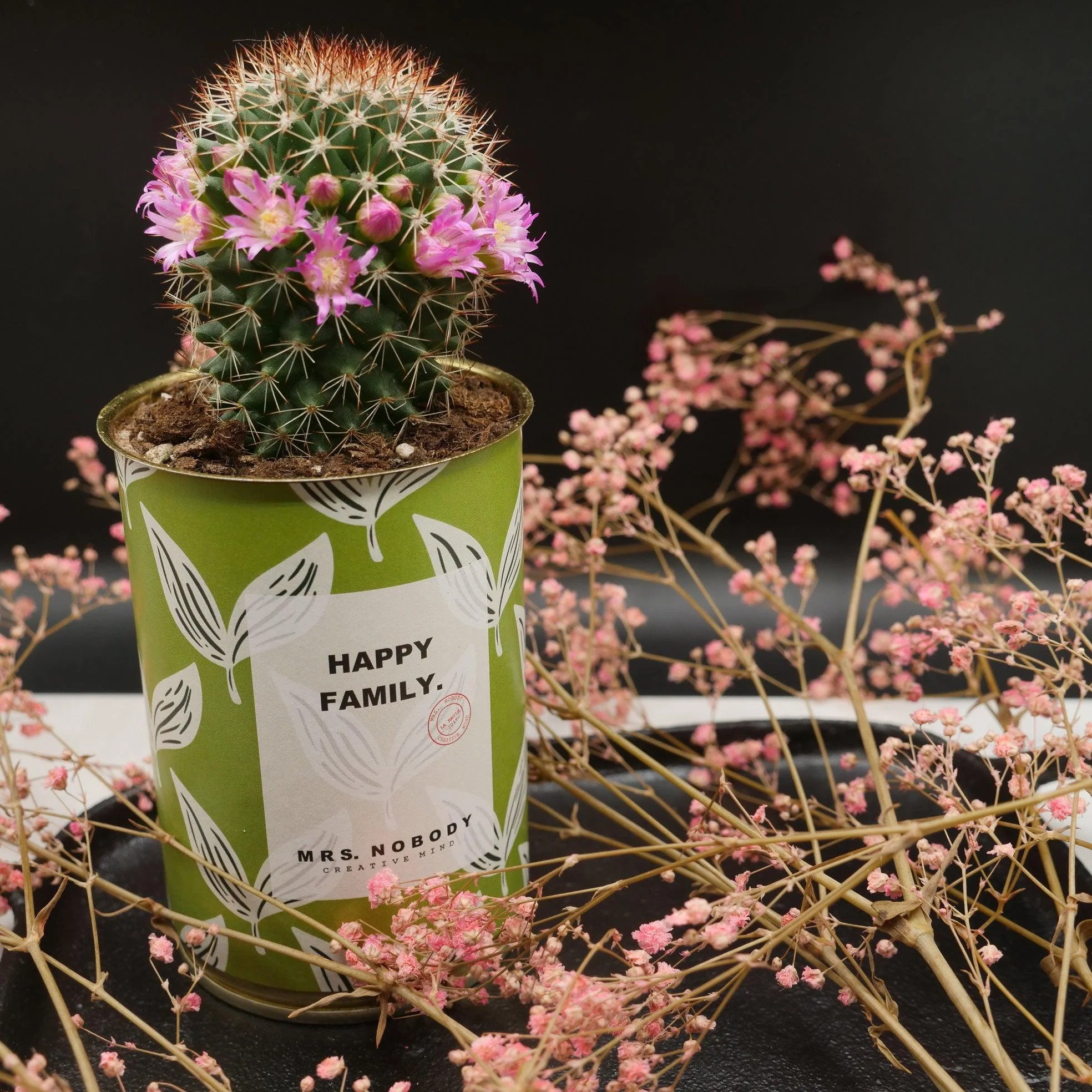 Cactus à message 🌵❤️ - Image 11