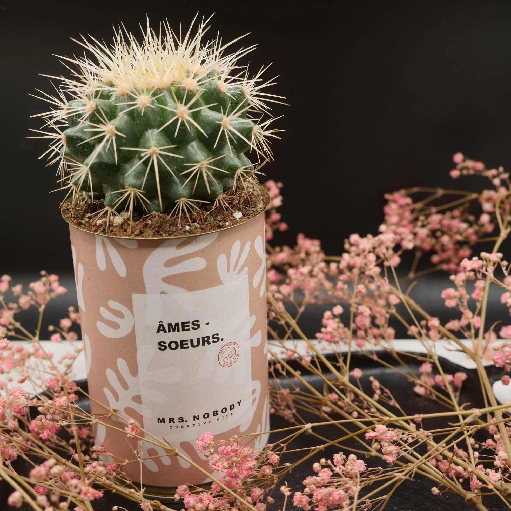 Cactus à message 🌵❤️ - Image 15