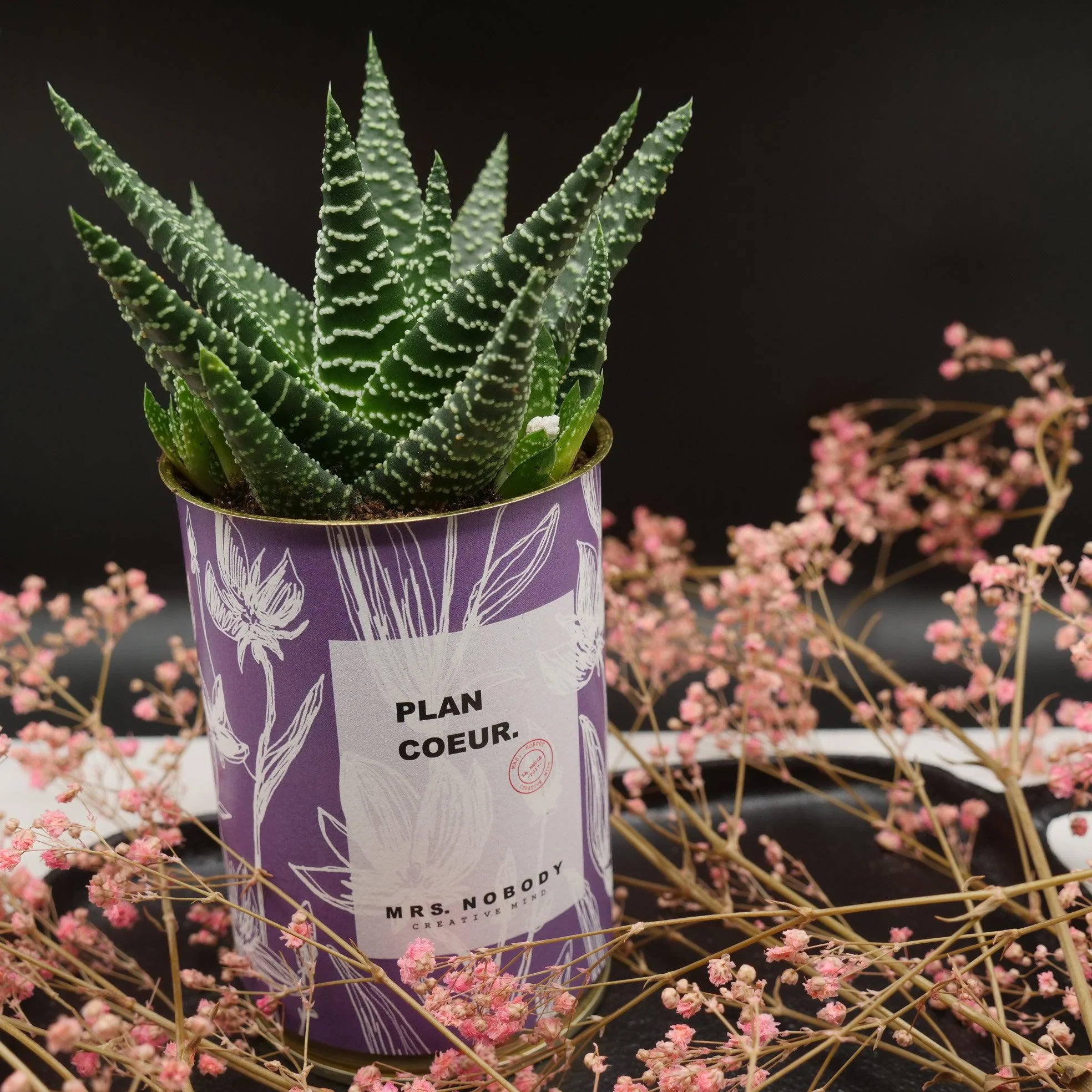 Cactus à message 🌵❤️ - Image 17