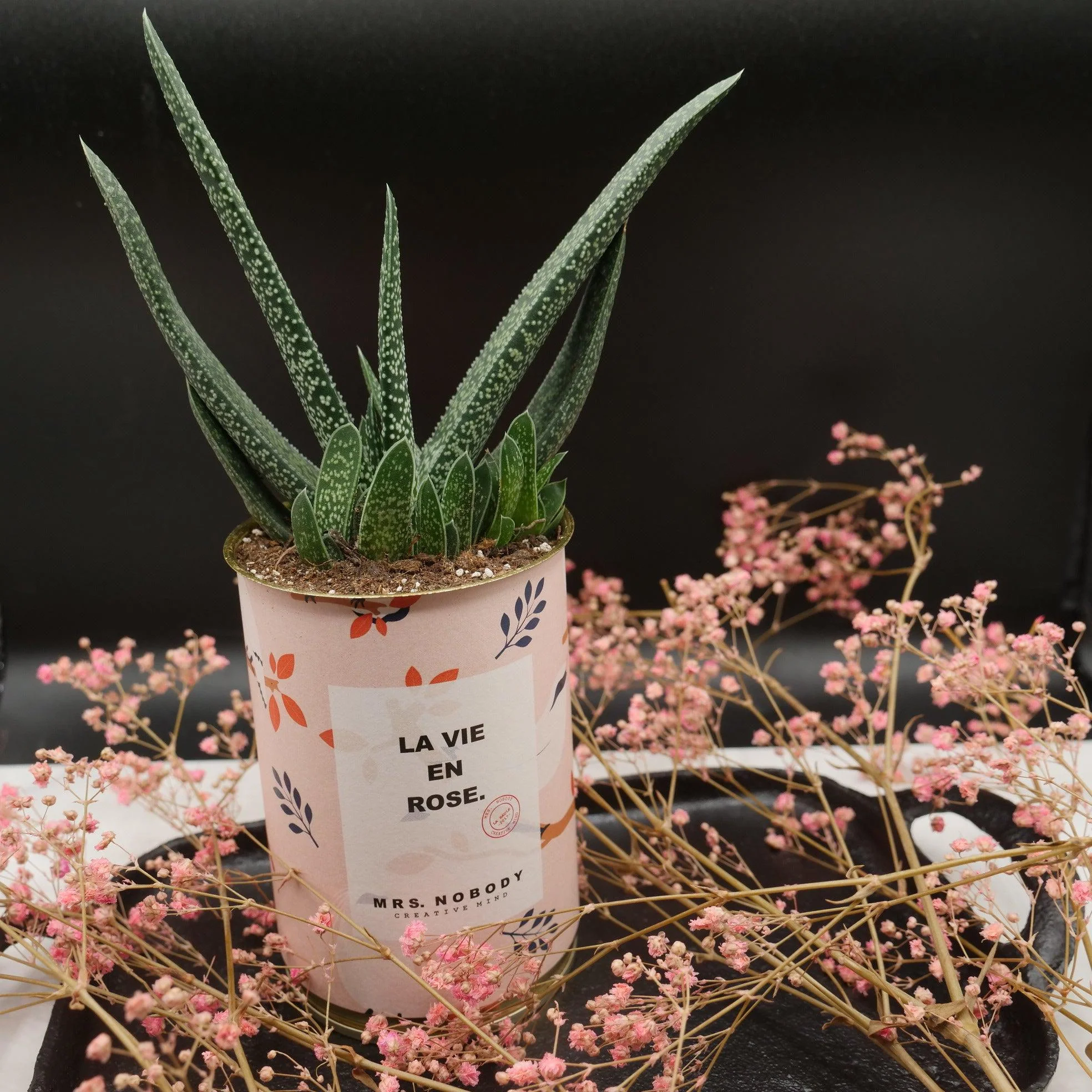 Cactus à message 🌵❤️ - Image 18