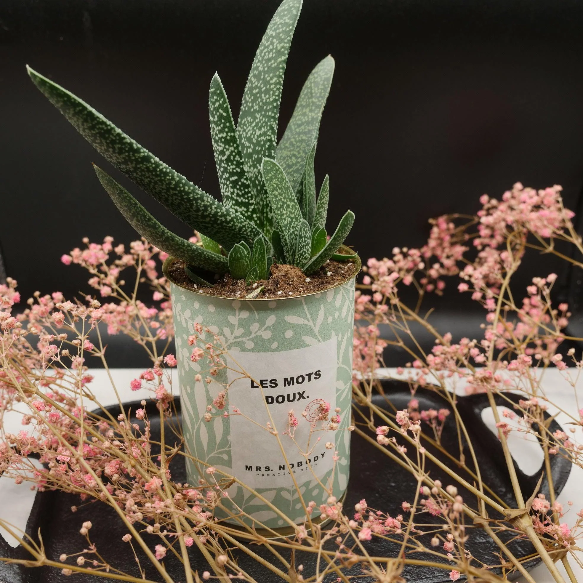 Cactus à message 🌵❤️ - Image 2