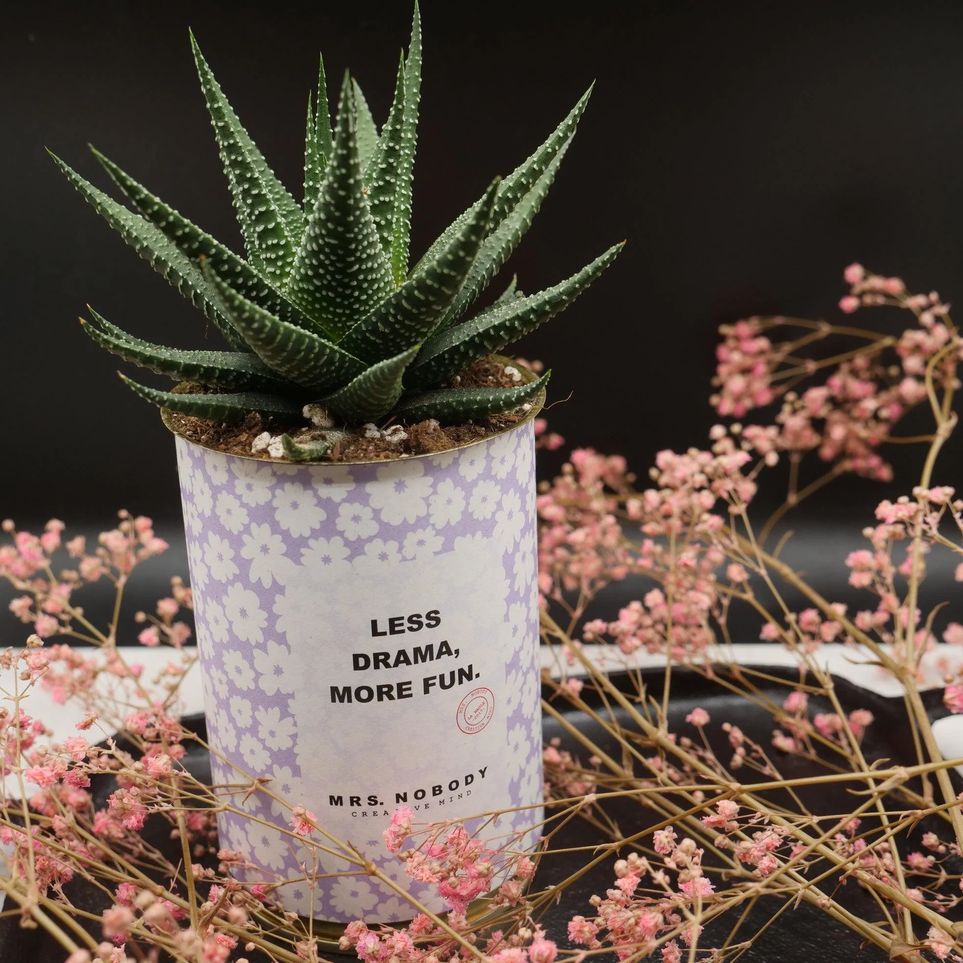 Cactus à message 🌵❤️ - Image 21