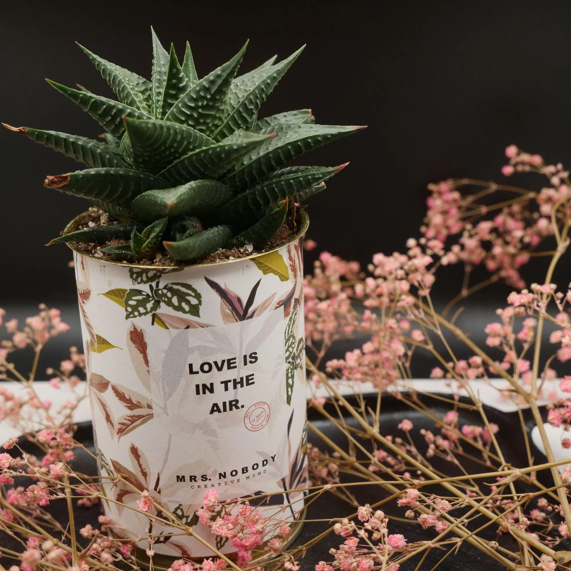 Cactus à message 🌵❤️ - Image 23