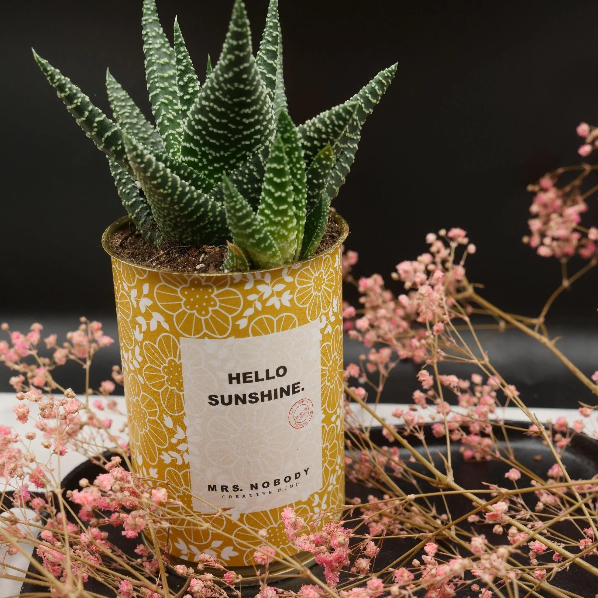 Cactus à message 🌵❤️ - Image 31