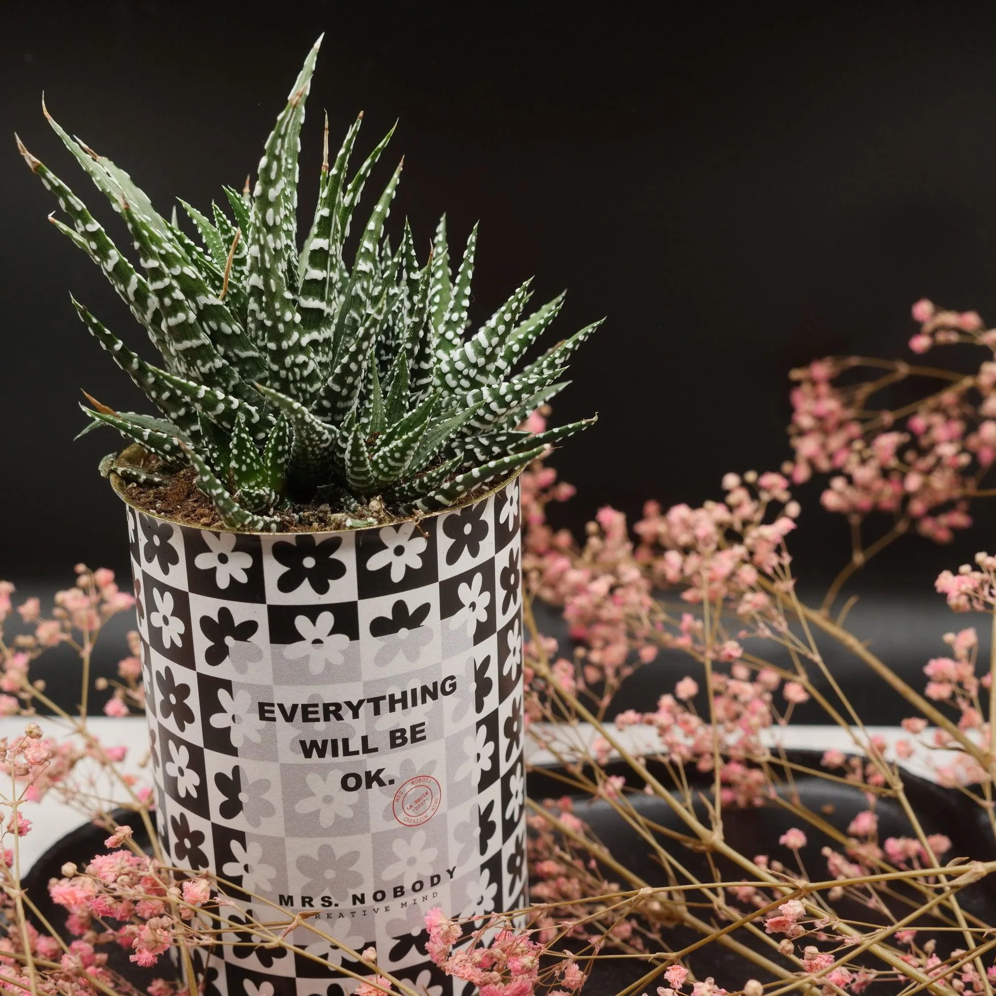 Cactus à message 🌵❤️ - Image 34
