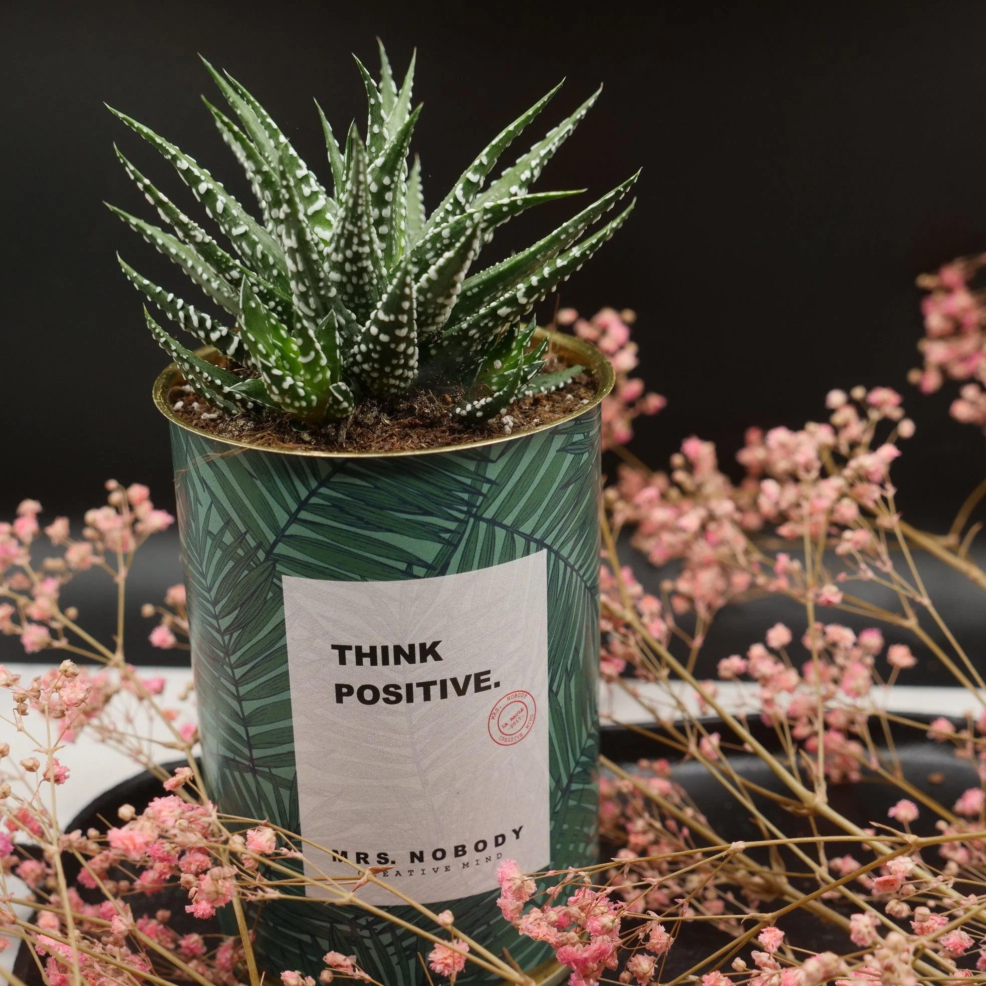 Cactus à message 🌵❤️ - Image 35