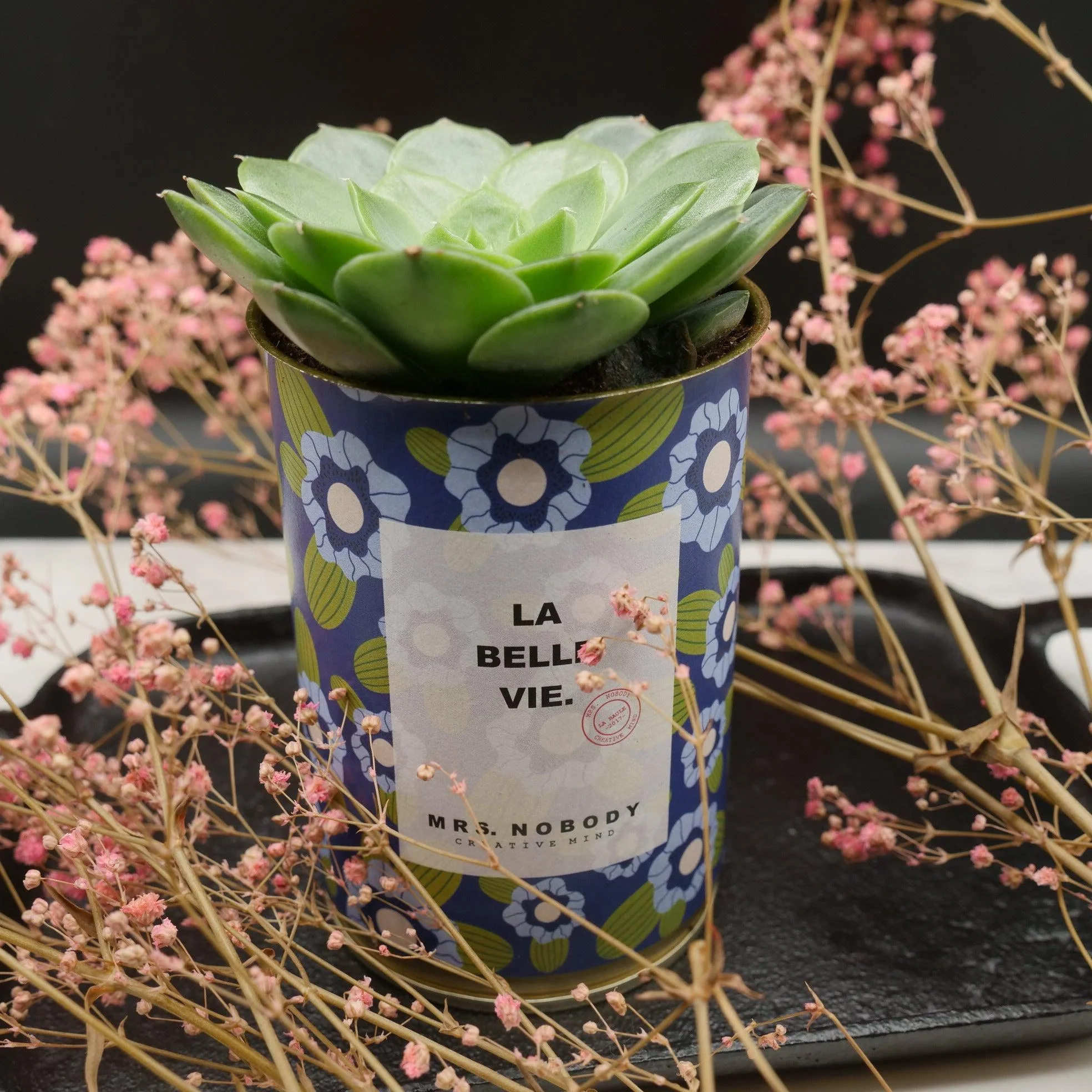 Cactus à message 🌵❤️ - Image 4