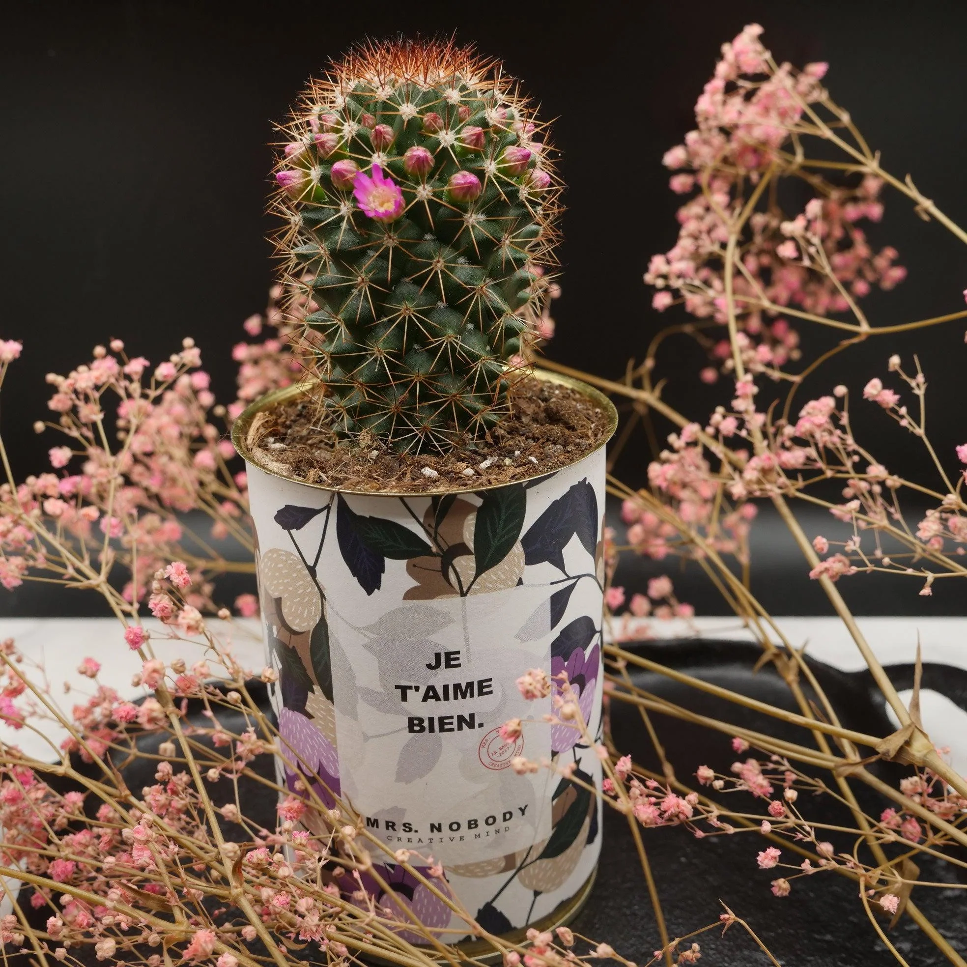 Cactus à message 🌵❤️ - Image 5