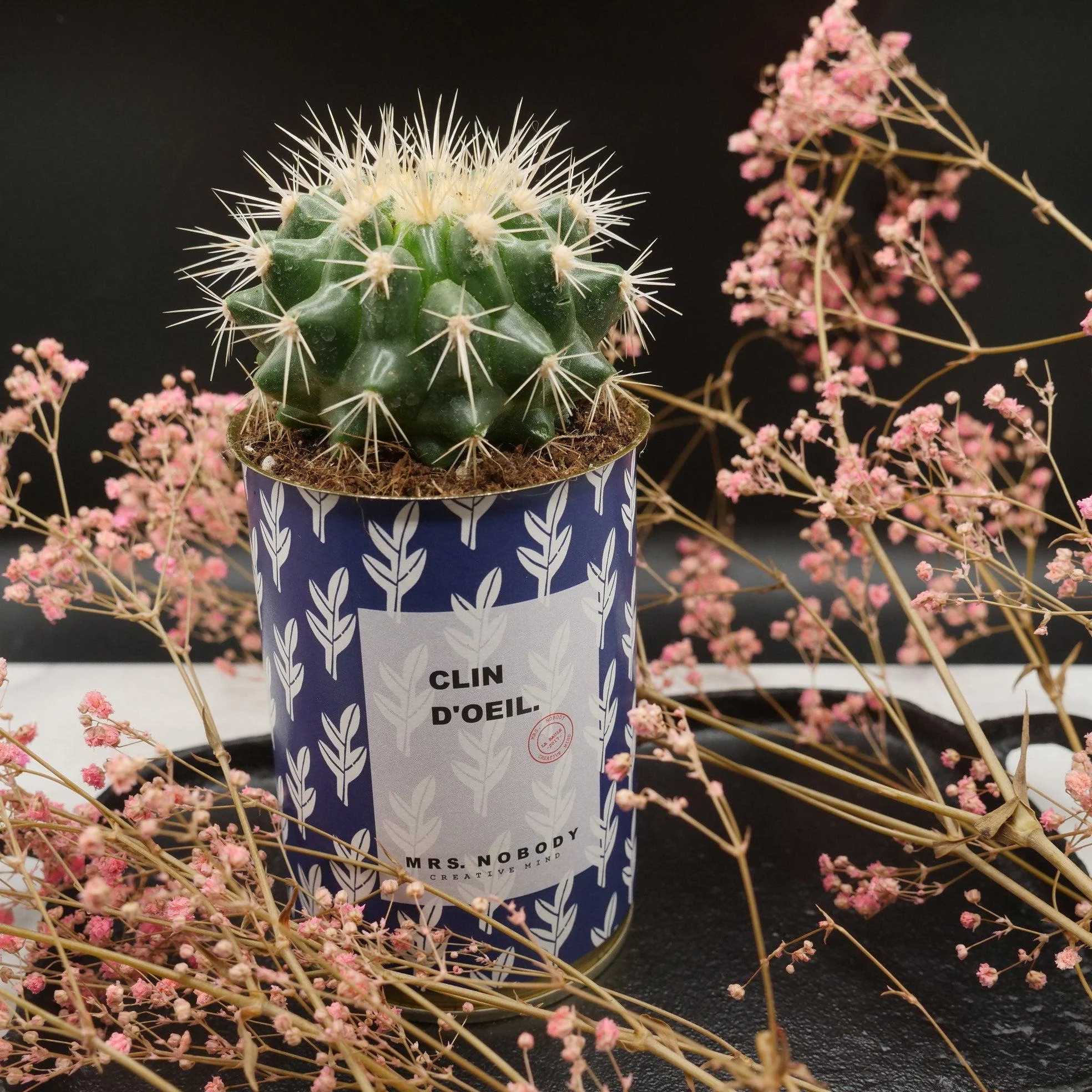 Cactus à message 🌵❤️ - Image 6