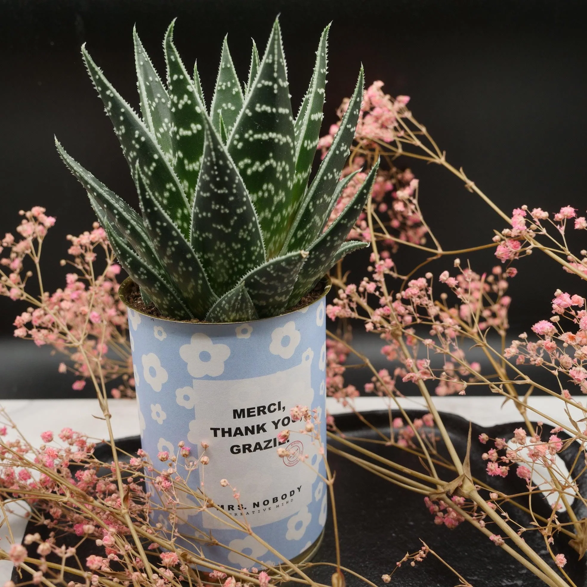 Cactus à message 🌵❤️ - Image 7