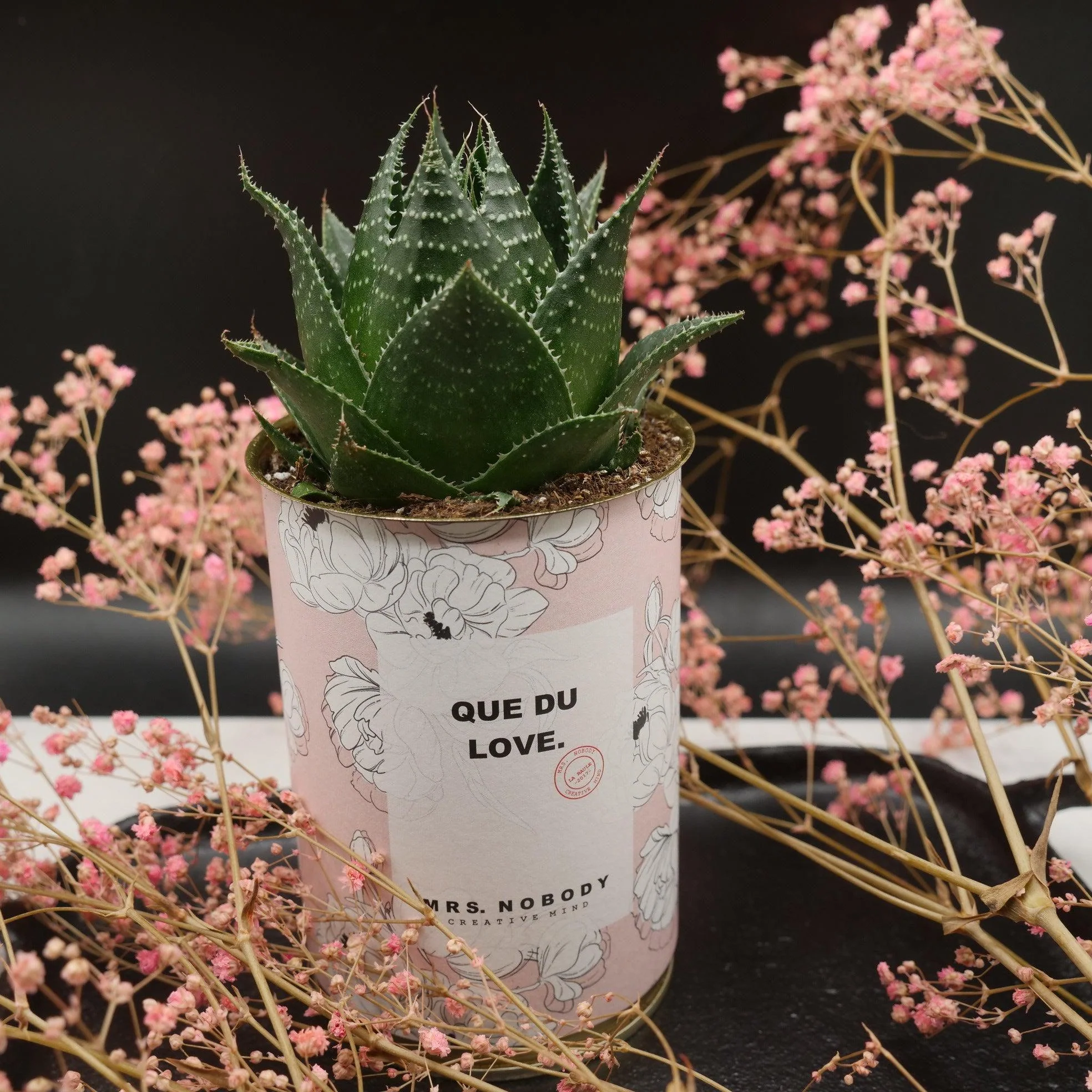 Cactus à message 🌵❤️ - Image 8