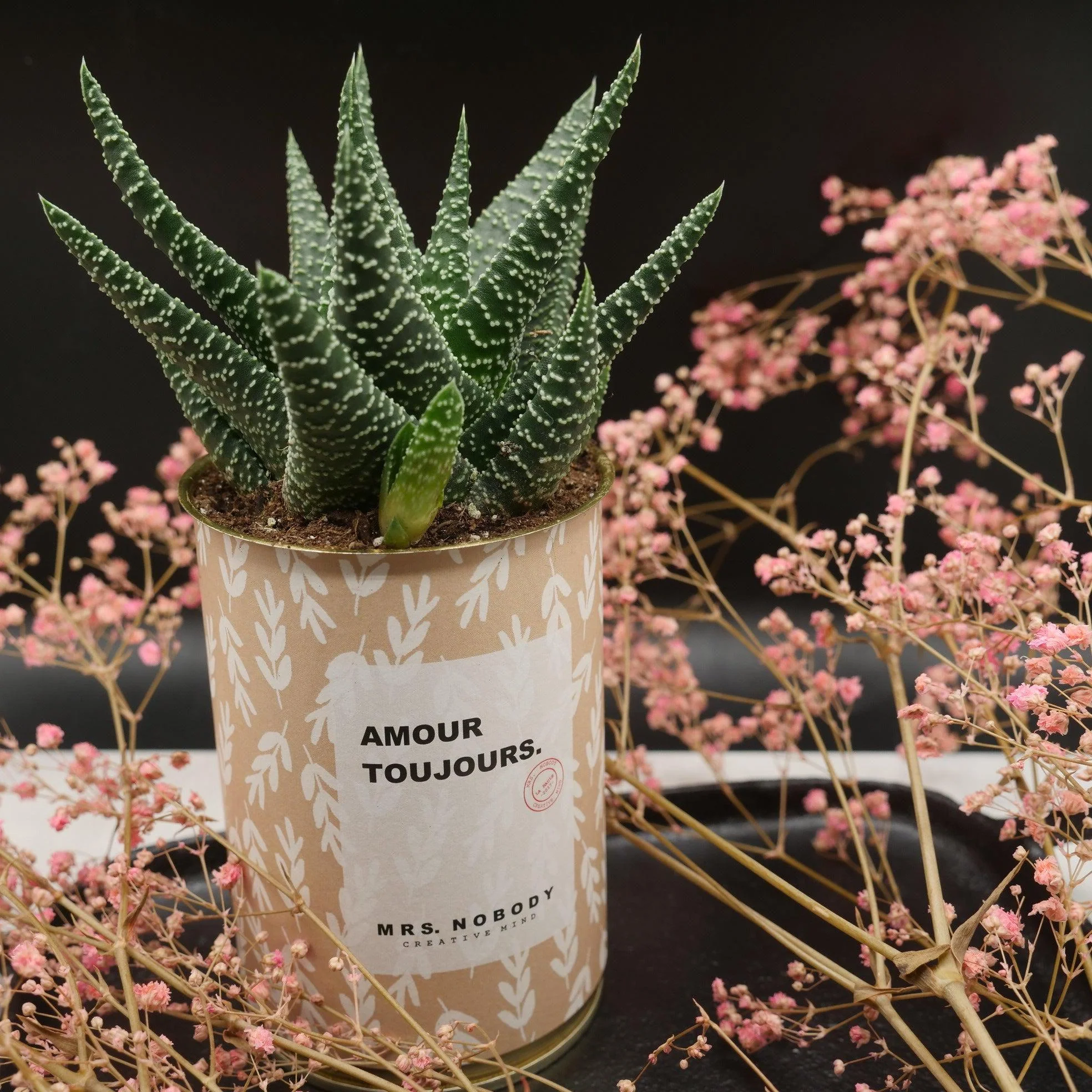 Cactus à message 🌵❤️ - Image 9