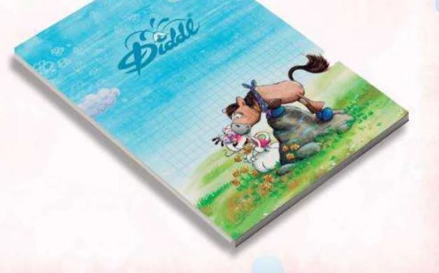 Carnet forme A6 Diddl