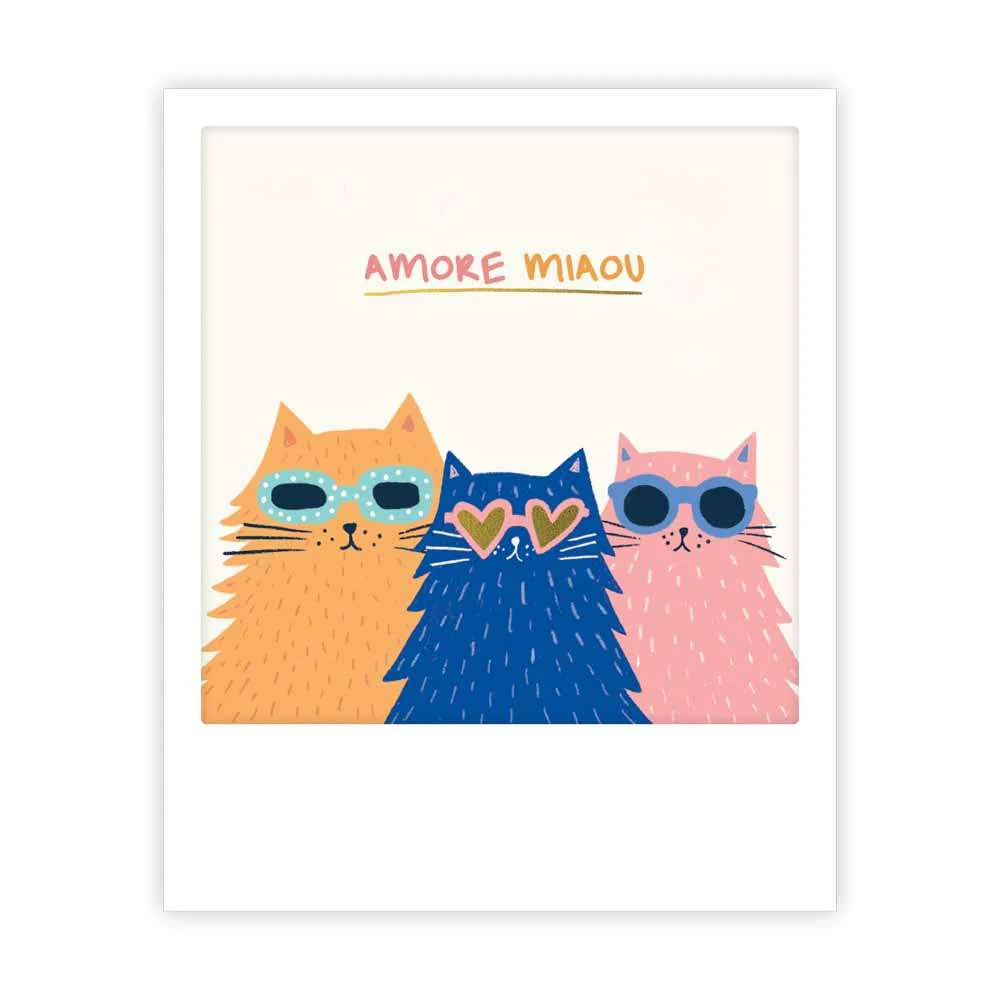 amore miaou - Image 2