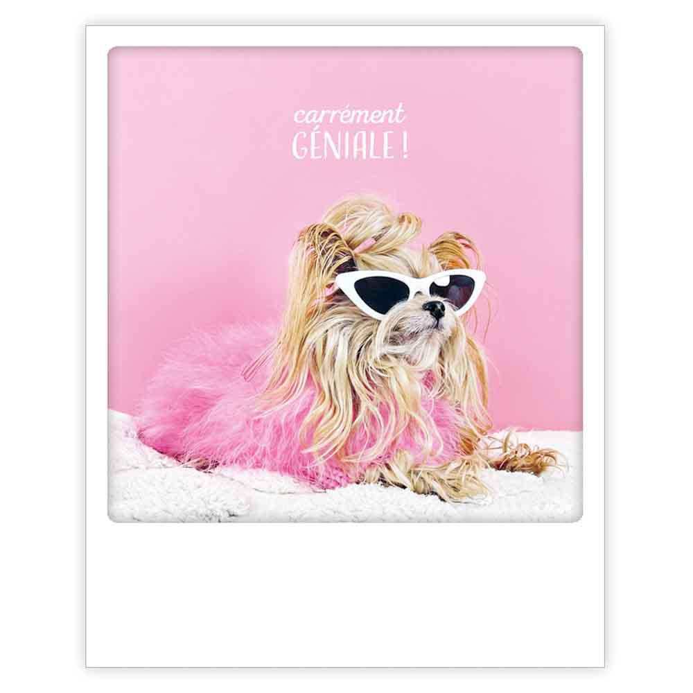 Carte postale - Format Polaroide - Carrément géniale