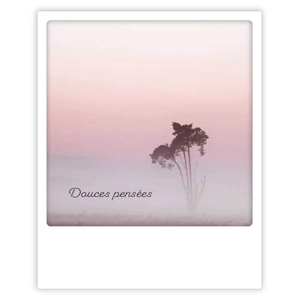 Carte postale - Format Polaroide - Douces pensées