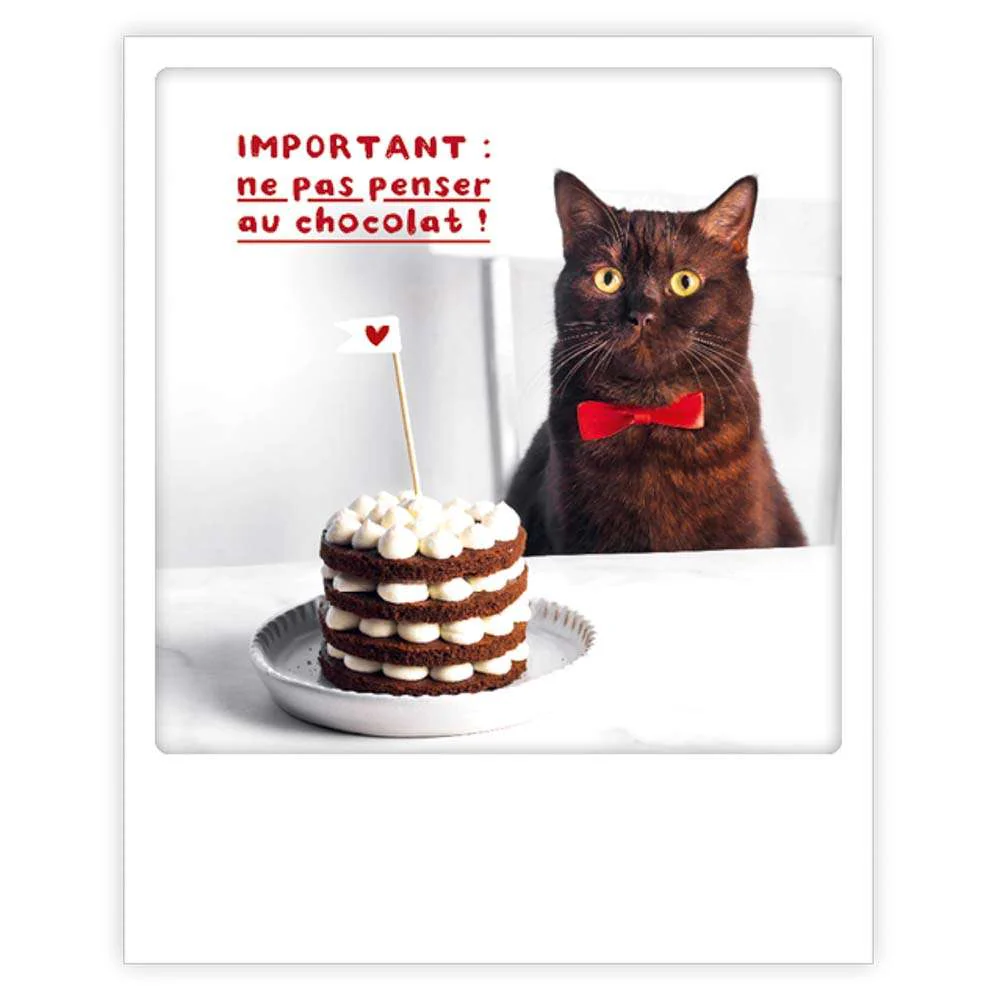 Carte postale - Format Polaroide - Important : ne pas penser au chocolat !