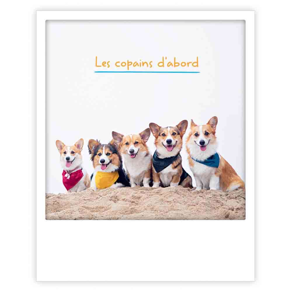 les copains d'abord - Image 3