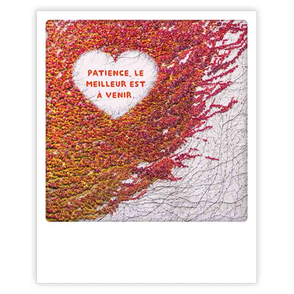 Carte postale - Format Polaroide - Patience, le meilleur est à venir