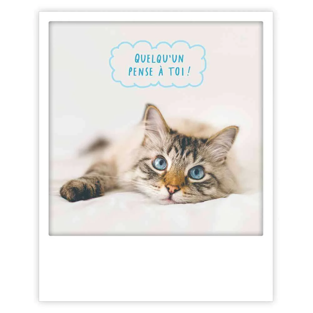 Carte postale - Format Polaroide - Quelqu'un pense à toi
