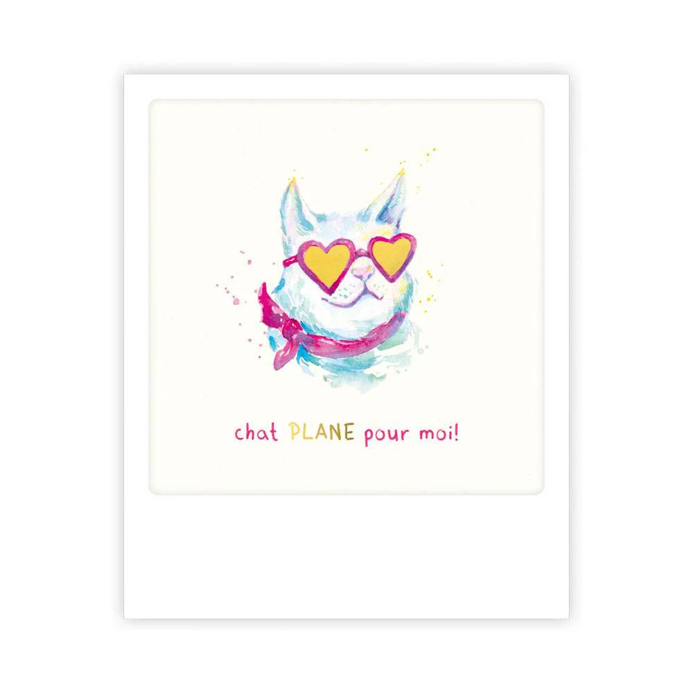chat plane pour moi !