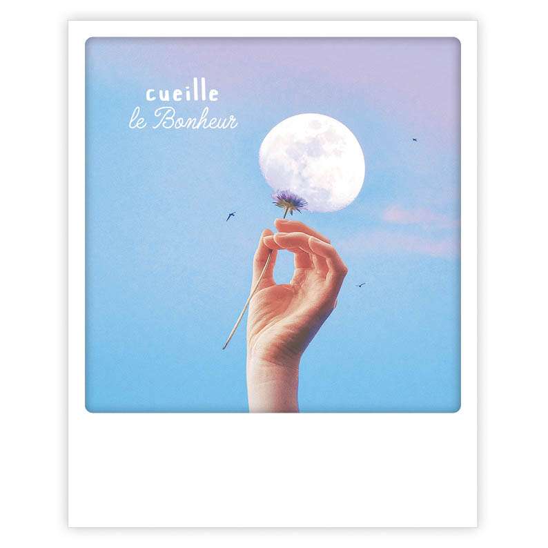 cueille le bonheur