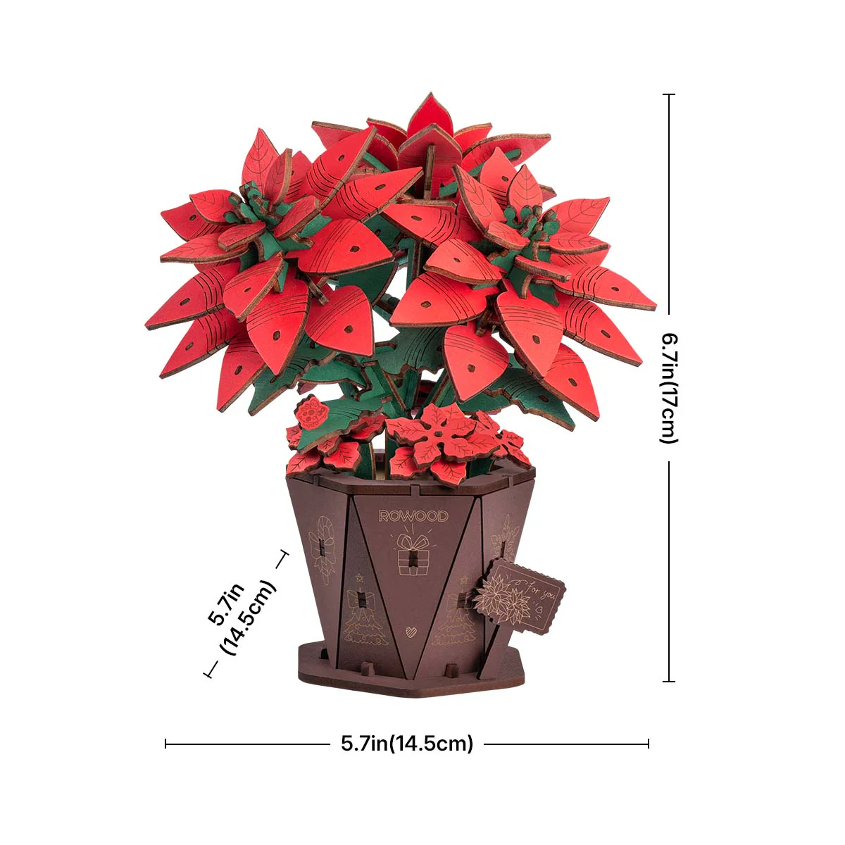 DIY I Poinsettia - Image 2