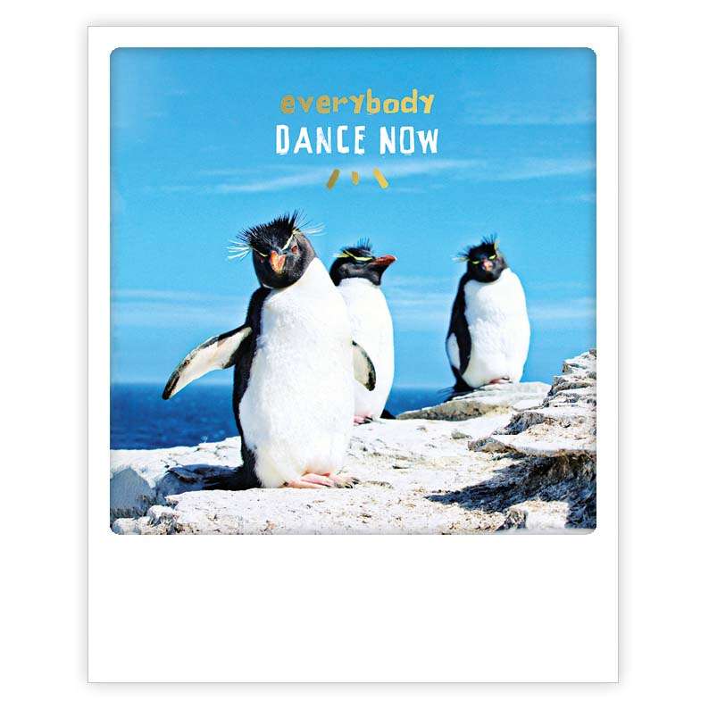 everybody dance now