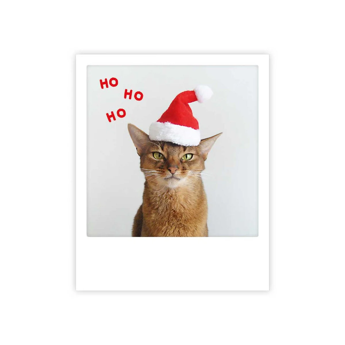 ho ho ho cat