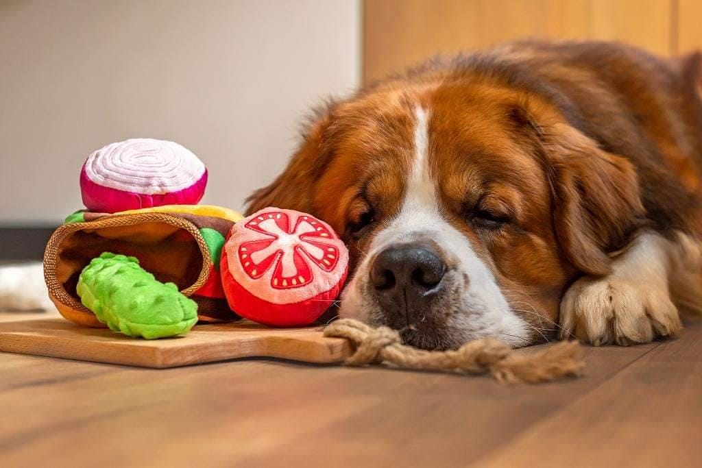 Jouet pour chien - Burger - Image 2