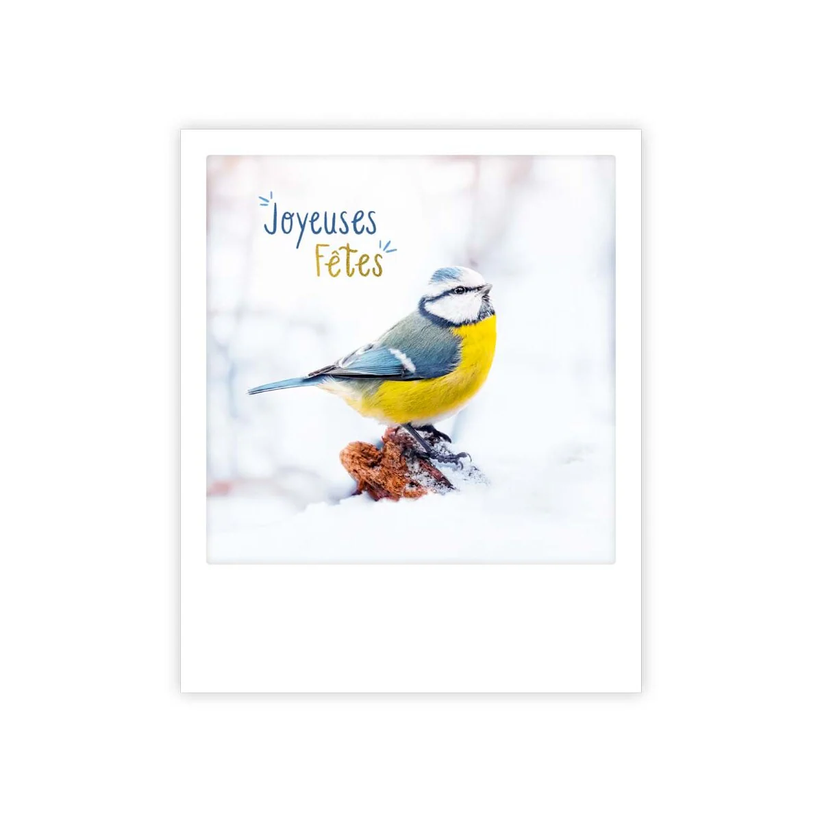 joyeuses fetes bird