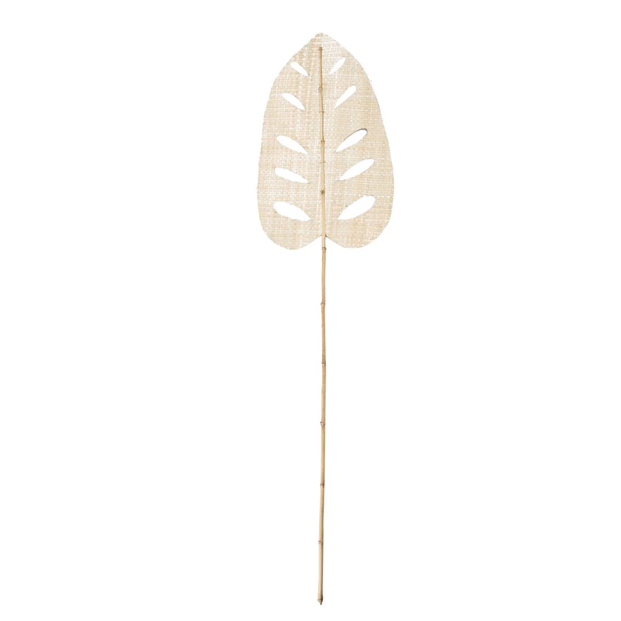 La feuille de jacinthe d'eau - Naturelle