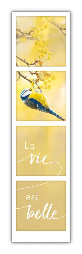 la vie est belle