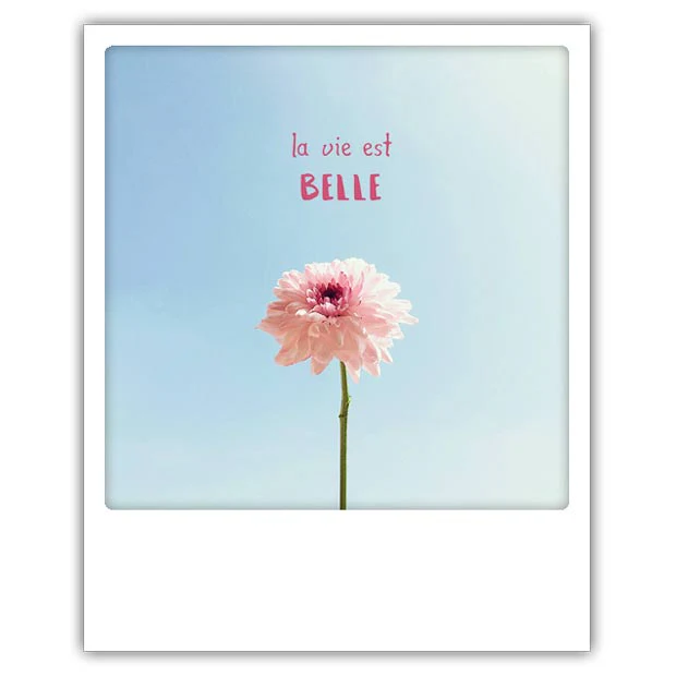 la vie est belle