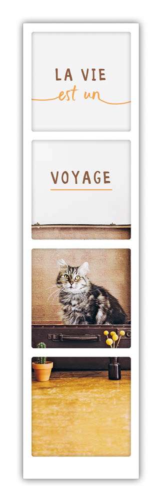 la vie est un voyage