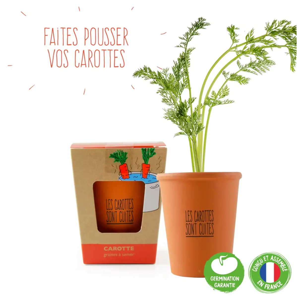 Les carottes sont cuites ! - Image 2