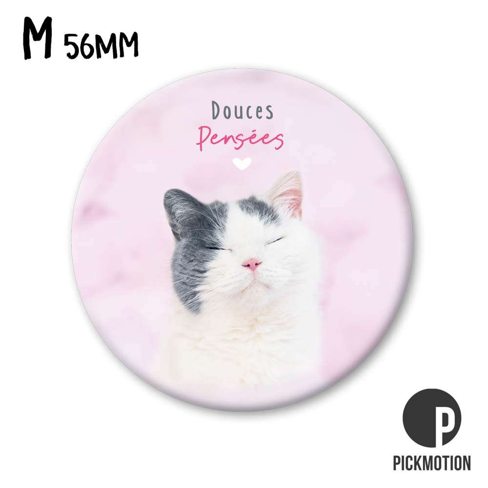 douce pensées cat