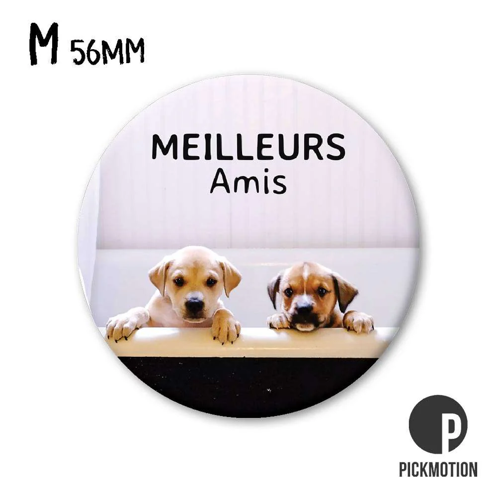meilleurs amis