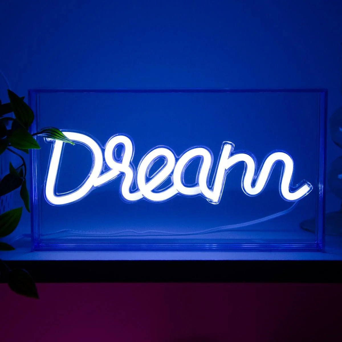 Néon I Dream - Image 2