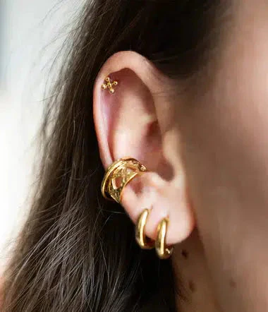Piercing Tiburon - Image 2