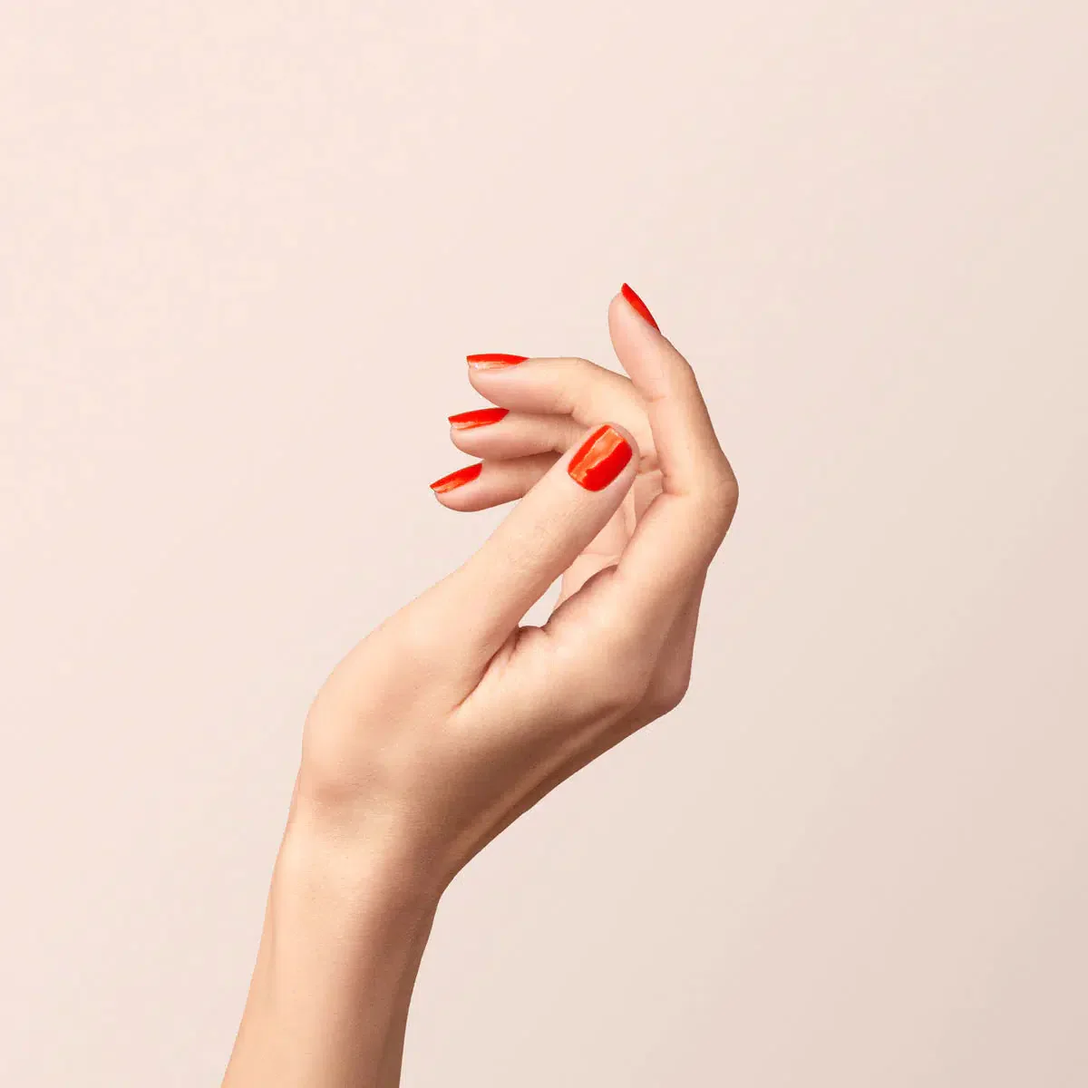 Vernis I Coral Reef - Image 4
